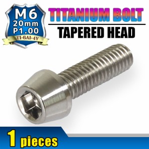 M6×20 P1.00 チタンボルト 1本 6mm 20mm ピッチ1.00 シルバー テーパーボルト キャップボルト クランクケース バイク ポイントカバー カ