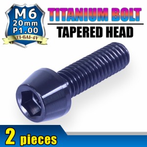 M6×20 P1.00 チタンボルト 2本セット 6mm 20mm ピッチ1.00 ブラック テーパーボルト キャップボルト クランクケース バイク ポイントカ