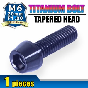 M6×20 P1.00 チタンボルト 1本 6mm 20mm ピッチ1.00 ブラック キャップボルト テーパーボルト クランクケース バイク ポイントカバー カ