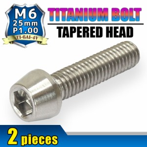 M6×25 P1.00 チタンボルト 2本セット 6mm 25mm ピッチ1.00 シルバー テーパーボルト キャップボルト クランクケース バイク ポイントカ