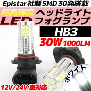 高輝度 30W LEDバルブ フォグランプ ヘッドライト ポジション HB3 ホワイト 白色 1000lm 30チップ 12V/24V車対応 無極性 2個セット