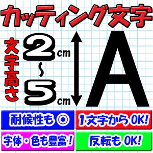 カッティング文字 １文字から買える カッティングシール 2cm〜5cm ホームページアドレス 会社名 表札等に