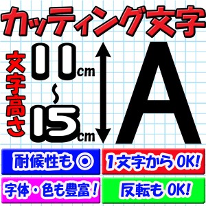 カッティング文字 １文字から買える カッティングシール 11cm〜15cm ホームページアドレス 会社名 表札等に