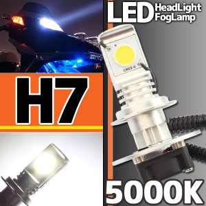 CREE社製 LEDヘッドライト フォグランプ H7 5000K 1灯分