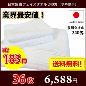 【送料無料】業界最安値！ 36枚セット 日本製 泉州 白タオル やや厚手 240匁 / タオル 普通のタオル 白いタオル 業務用タオル フェイス 