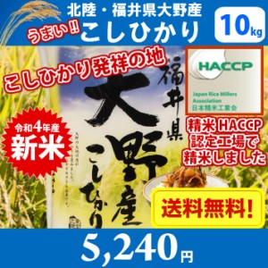 【令和4年産　新米】【精米】コシヒカリ発祥の地　北陸・福井県大野産こしひかり10kg 送料無料!!(北海道沖縄離島は別途700円かかります。