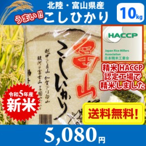 【令和5年産　新米】【精米】北陸・富山県産こしひかり（風の盆）10kg 送料無料!!(北海道、沖縄、離島は別途700円かかります。)