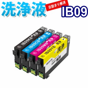 洗浄 カートリッジ IB09B 電卓 エプソン プリンター 目詰まり 洗浄液 インク 出ない 解消 強力 IB09CL4B クリーニング液  大容量版  対応