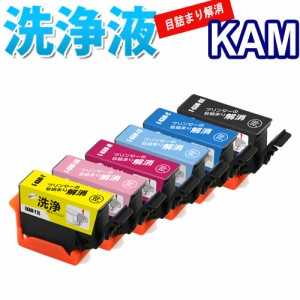 洗浄 カートリッジ KAM エプソン プリンター 目詰まり KAM-6CL-L インク 出ない 解消 洗浄液  強力 クリーニング液エプソン KAM ６色セッ