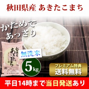 米 無洗米 5kg 秋田県産 あきたこまち 令和5年産 お米 5kg プレミアム特典 送料無料 北海道・沖縄配送不可 即日発送 クーポン対象 5キロ 