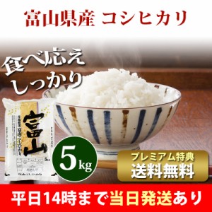 米 5kg 富山県産 コシヒカリ 令和5年産 お米 5kg プレミアム特典 送料無料 北海道・沖縄配送不可 即日発送 クーポン対象 5キロ 安い