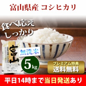 米 無洗米 5kg 富山県産 コシヒカリ 令和5年産 お米 5kg プレミアム特典 送料無料 北海道・沖縄配送不可 即日発送 クーポン対象 5キロ 安