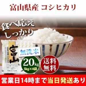 米 無洗米 20kg 富山県産 コシヒカリ 5kg×4袋 令和5年産 お米 20kg 送料無料 北海道・沖縄配送不可 クーポン対象 20キロ 安い