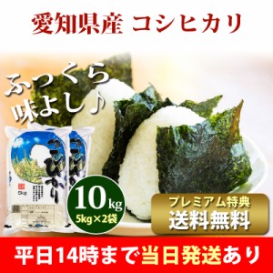 米 10kg 愛知県産 コシヒカリ 5kg×2袋 令和5年産 お米 10kg プレミアム特典 送料無料 北海道・沖縄配送不可 即日発送 クーポン対象 10キ