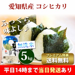 米 無洗米 5kg 愛知県産 コシヒカリ 令和5年産 お米 5kg プレミアム特典 送料無料 北海道・沖縄配送不可 即日発送 クーポン対象 5キロ 安