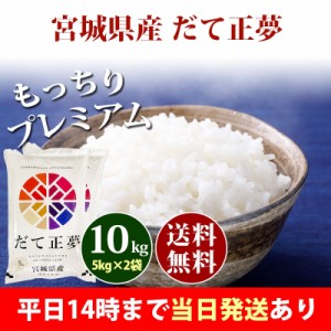 米 10kg 宮城県産 だて正夢 5kg×2袋 令和5年産 お米 10kg 送料無料 北海道・沖縄配送不可 即日発送 クーポン対象 10キロ 安い