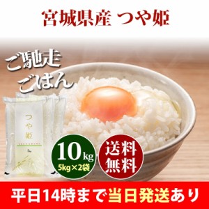 米 10kg 宮城県産 つや姫 1等米 5kg×2袋 令和5年産 お米 10kg 送料無料 北海道・沖縄配送不可 即日発送 クーポン対象 10キロ 安い