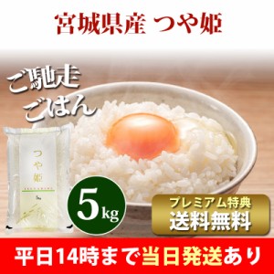 米 5kg 宮城県産 つや姫 1等米 令和5年産 お米 5kg プレミアム特典 送料無料 北海道・沖縄配送不可 即日発送 クーポン対象 5キロ 安い