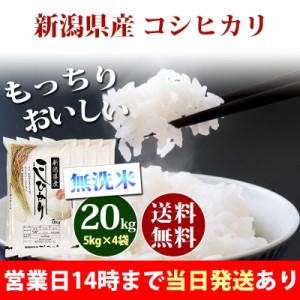 米 無洗米 20kg 新潟県産 コシヒカリ 5kg×4袋 令和5年産 お米 20kg 送料無料 北海道・沖縄配送不可 クーポン対象 20キロ 安い dgpcp