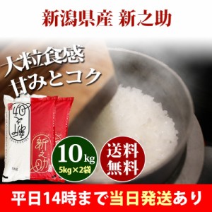 米 10kg 新潟県産 新之助 しんのすけ 1等米 5kg×2袋 令和5年産 お米 10kg 送料無料 北海道・沖縄配送不可 即日発送 クーポン対象 10キロ