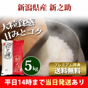 米 5kg 新潟県産 新之助 しんのすけ 1等米 令和5年産 お米 5kg プレミアム特典 送料無料 北海道・沖縄配送不可 即日発送 クーポン対象 5