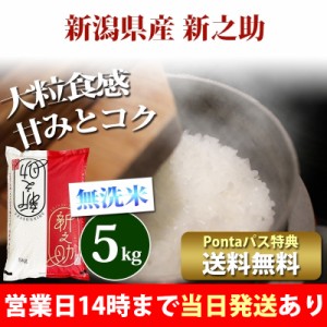 米 無洗米 5kg 新潟県産 新之助 しんのすけ 1等米 令和5年産 お米 5kg プレミアム特典 送料無料 北海道・沖縄配送不可 即日発送 クーポン