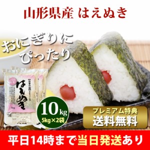 米 10kg 山形県産 はえぬき 5kg×2袋 令和5年産 お米 10kg プレミアム特典 送料無料 北海道・沖縄配送不可 即日発送 クーポン対象 10キロ