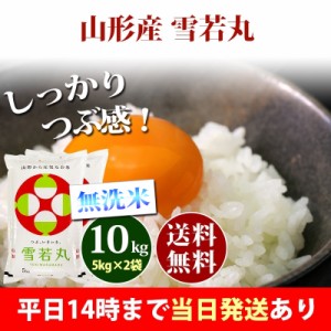 米 無洗米 10kg 山形県産 雪若丸 ゆきわかまる 5kg×2袋 令和5年産 お米 10kg 送料無料 北海道・沖縄配送不可 即日発送 クーポン対象 10