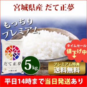 米 5kg 宮城県産 だて正夢 令和5年産 お米 5kg プレミアム特典 送料無料 北海道・沖縄配送不可 即日発送 クーポン対象 5キロ 安い 母の日