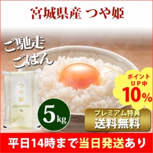 米 5kg 宮城県産 つや姫 1等米 令和5年産 お米 5kg プレミアム特典 送料無料 北海道・沖縄配送不可 即日発送 クーポン対象 5キロ 安い