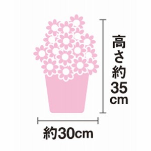 母の日 限定 ギフト 生花 アジサイ鉢植えマジカルレボリューションレインボーＭ 産直 送料無料