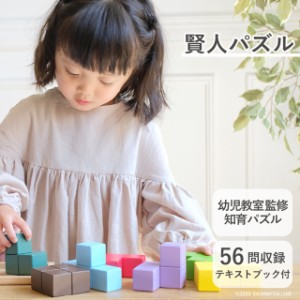  賢人パズル 立体パズル 脳力パズル 知育玩具 子供玩具