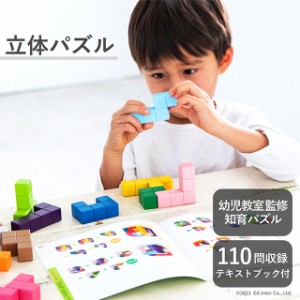 立体パズル エドインター 知育玩具 木製玩具 木製ブロック おもちゃ 型はめ 子ども玩具 ブロック遊び 入園祝い 誕生日プレゼント 知の贈