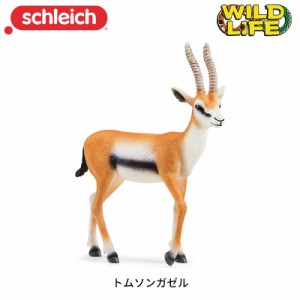 トムソンガゼル 14861 動物 フィギュア ワイルドライフ ジオラマ シュライヒ Schleich