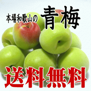 【送料無料】 青梅 【少し訳あり】 本場和歌山産 ≪南高梅≫5kg 梅酒用・梅干し用