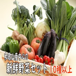 送料無料 野菜詰め合わせ 新鮮旬の野菜セット 10種以上  和歌山産中心 