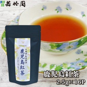 【●お取り寄せ】若竹園 九州産紅茶探訪 鹿児島紅茶 40g(2.5g×16袋入り) 和紅茶 国産茶葉 ティーバック black tea