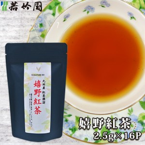 【●お取り寄せ】若竹園 九州産紅茶探訪 嬉野紅茶 40g(2.5g×16袋入り) 和紅茶 国産茶葉 ティーバック black tea