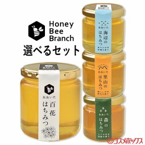 【●お取り寄せ】選べるセット おおいた百花はちみつ&味くらべボトルシリーズ 300g+90g×3 枝次養蜂園【送料込】