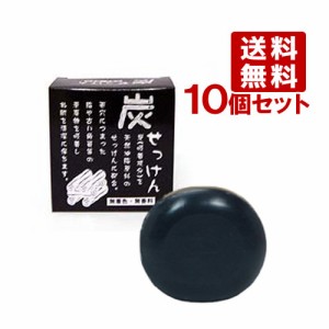 地の塩 炭せっけん ( 炭石鹸) 100g 薬用炭配合×10個セット chinoshiosya [SOAP_S]【送料無料】