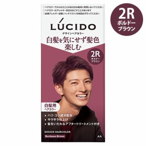 ルシード(LUCIDO) デザインヘアカラー 2Rボルドーブラウン 黒髪も染まる白髪染め トリートメント付き マンダム(mandom)