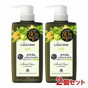 ルシード(LUCIDO) 薬用デオドラントボディウォッシュ ノンメントール ハーバルシトラス 450ml×2個セット マンダム(mandom)【送料込】