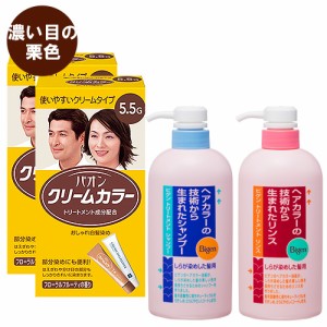 ヘンケル パオン クリームカラー 5.5G 濃いめの栗色 2個 ＆ ホーユー ビゲン トリートメントシャンプー＆リンス 各600ml【送料込】