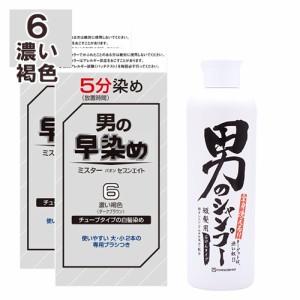 ヘンケル 男の早染め ミスターパオンセブンエイト 6 濃い褐色 ダークブラウン 白髪染め 2個＆地の塩 男のシャンプー(髪・全身洗浄料) 300