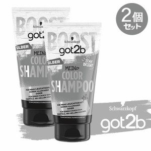 got2b (ゴットゥービー) カラーシャンプー シルバー 150ml×2個セット ヘアカラー 染毛料 派手髪 セルフカラー 色落ち対策 シュワルツコ