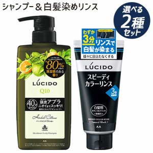 選べるシャンプー＆カラーリンスセット ルシード(LUCIDO) 薬用スカルプデオシャンプー 450ml＆スピーディカラーリンス(白髪染め) 160g マ