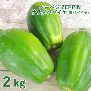 【●お取り寄せ】シャキシャキ食感 ZEPPINサラダパパイヤ 2kg(3〜4個) 青パパイヤ パパイン酵素 無農薬 ベーベジ【送料込】