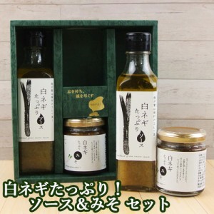 【●お取り寄せ】白ネギを贅沢に使用 白ネギたっぷりソース＆みそ セット(ソース190ml×2 みそ110g×2) シセイ・アグリ ギフト【送料込】