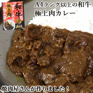 【●お取り寄せ】杵築産A4ランク以上の和牛を使用 和牛を噛みしめる極上肉カレー 180g  焼肉みやべ 焼肉屋が作ったカレー