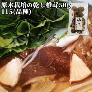 【●お取り寄せ】原木栽培した上質な椎茸と質な塩 きのこスパイス塩 40g くにさき半島 山や